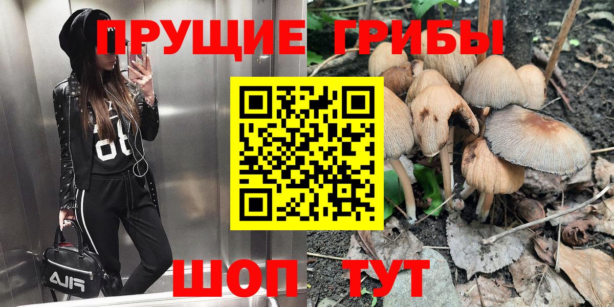 Артём  Галлюциногенные грибы MAGIC MUSHROOMS  Вход с VPN  Псилоцибиновые грибы мухоморы 