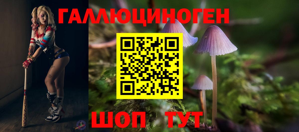 Галлюциногенные грибы Cubensis Артём